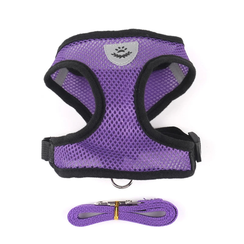 Adjustable Mesh Harness and Leash Set