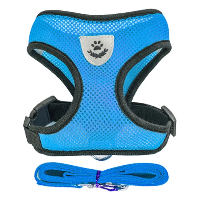 Adjustable Mesh Harness and Leash Set
