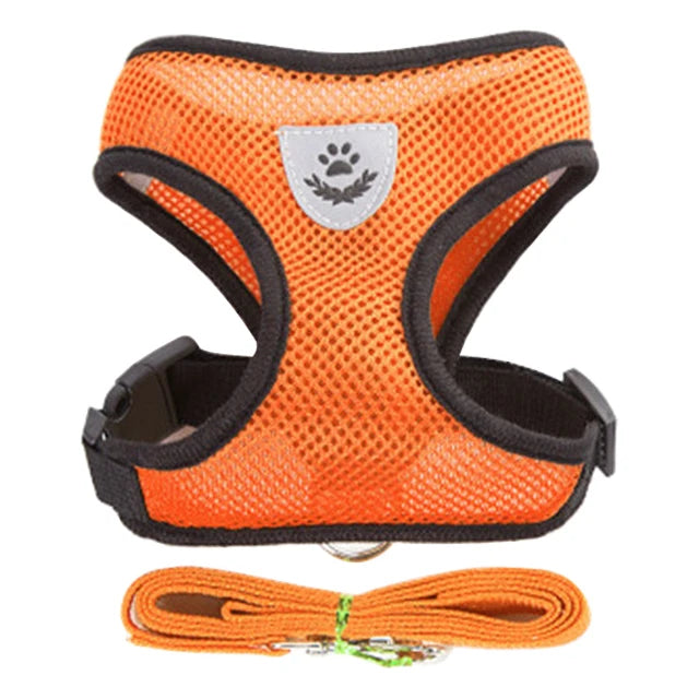 Adjustable Mesh Harness and Leash Set