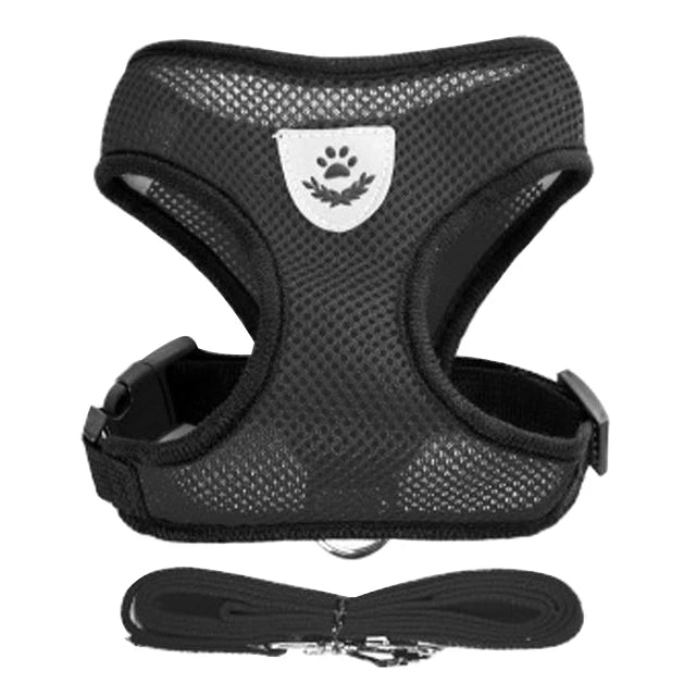 Adjustable Mesh Harness and Leash Set
