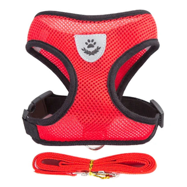 Adjustable Mesh Harness and Leash Set