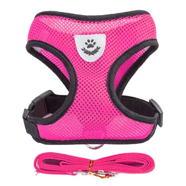 Adjustable Mesh Harness and Leash Set