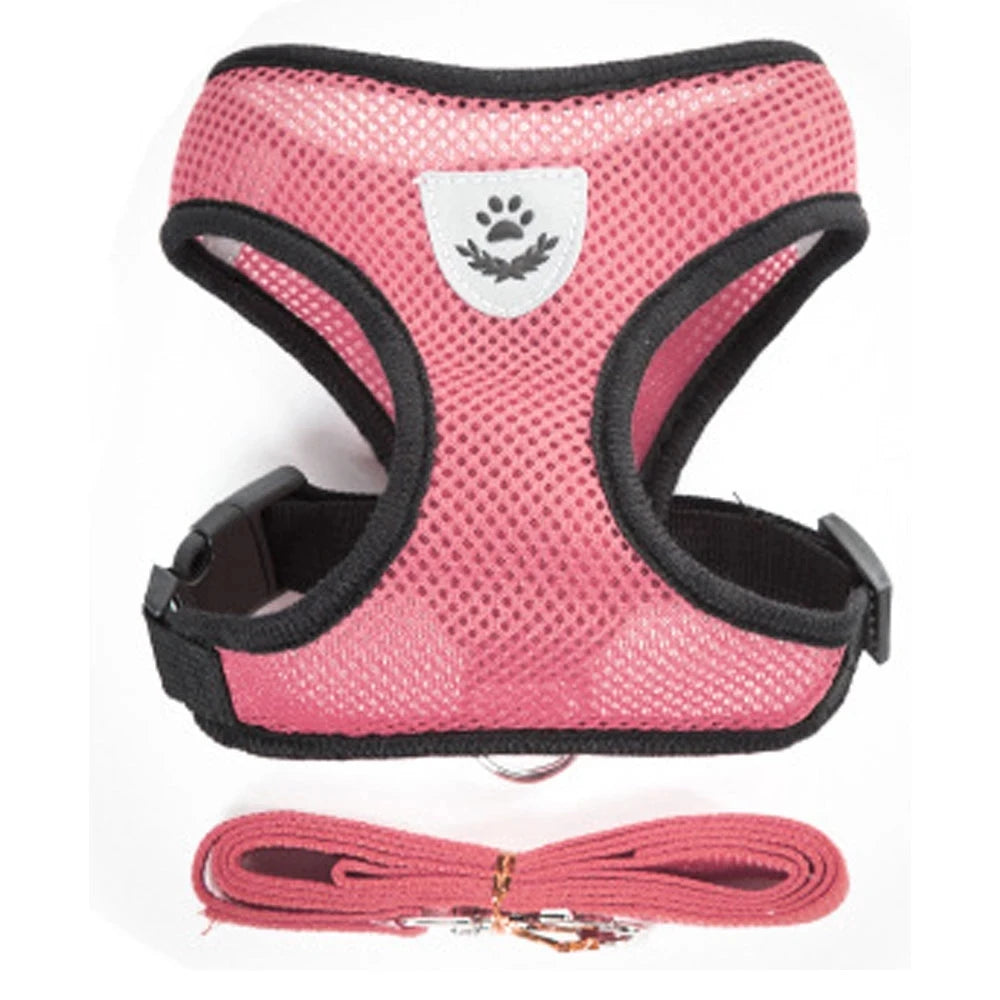 Adjustable Mesh Harness and Leash Set