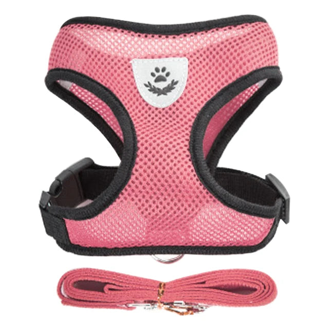 Adjustable Mesh Harness and Leash Set