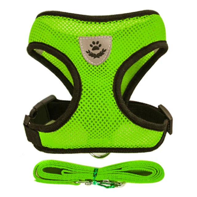 Adjustable Mesh Harness and Leash Set