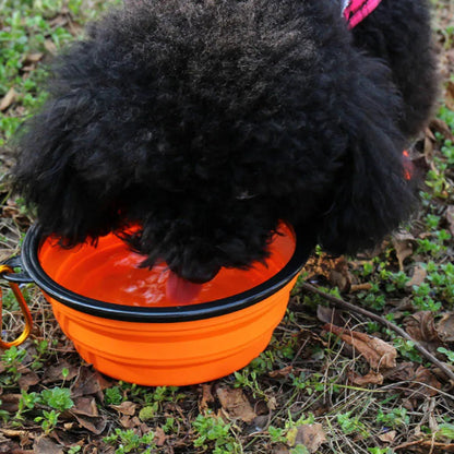 Collapsible Pet Silicone Bowl