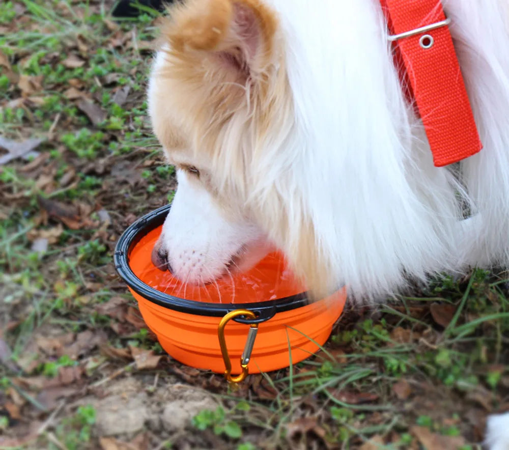 Collapsible Pet Silicone Bowl