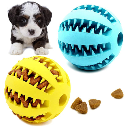 Dog Ball Toys for Small Dogs