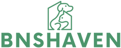 B & S Haven